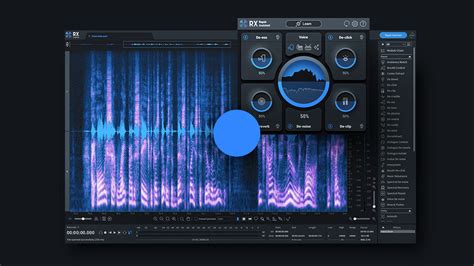 IZotope RX Elements 2025 Serial Number
